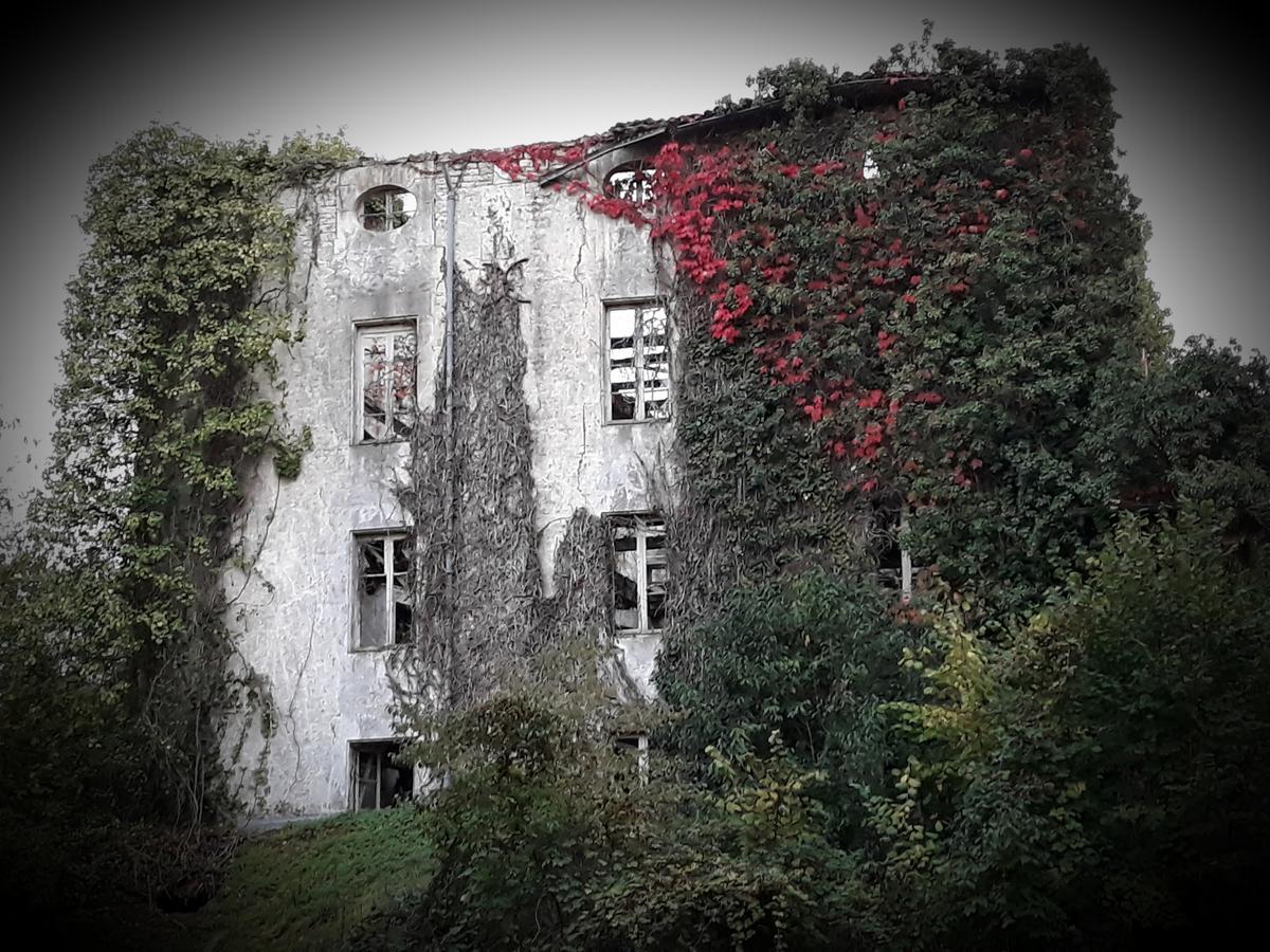 Chambres D'Hotes Maison La Porte Rouge Niort Exterior foto